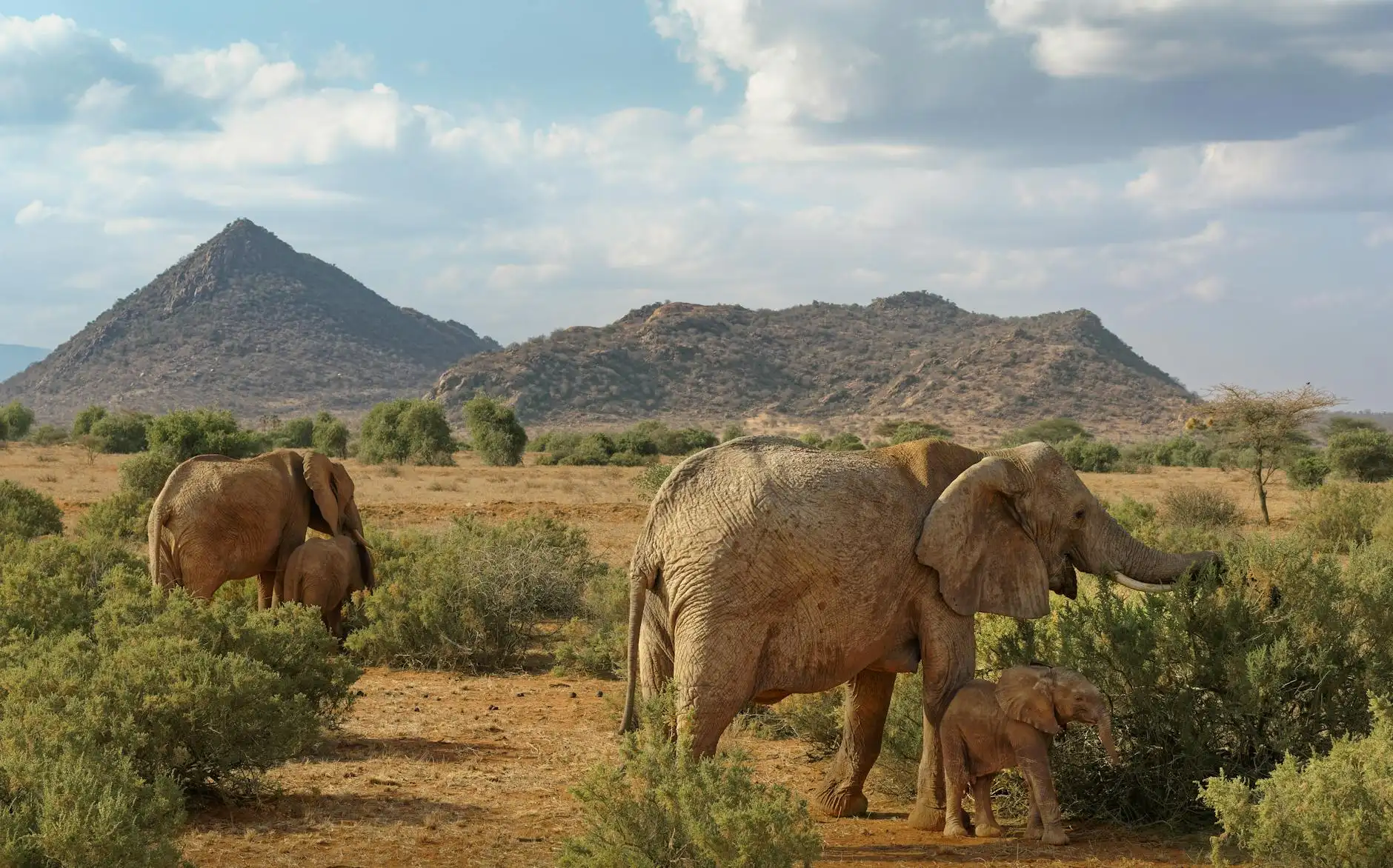 Maria Fischer Portfolio 8